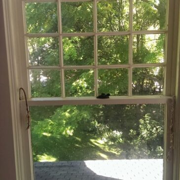 Repairing Double Hung Sash Cords